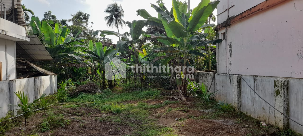  Land  For Sale in Angamaly, Ernakulam