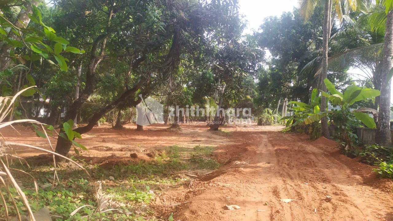 Land for Sale in Edappal Malappuram
