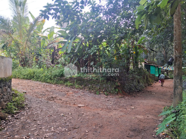  Land  For Sale in  Pala, Kottayam