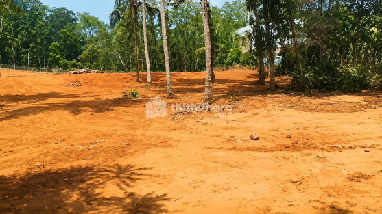 Residential Land for Sale in Wadakkanchery Thrissur