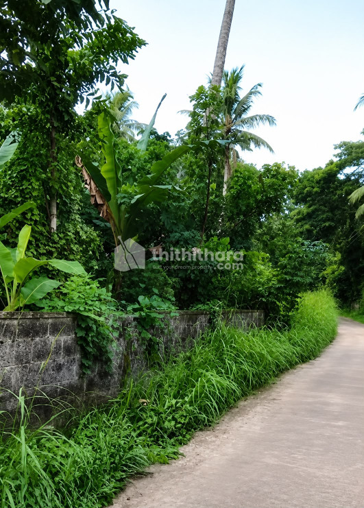 Land For Sale In Mangalapuram Thiruvananthapuram