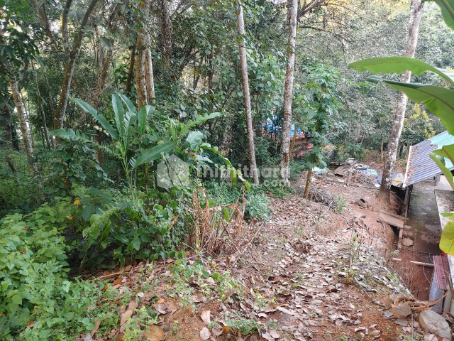 Land for Sale in Kazhakootam Thiruvananthapuram