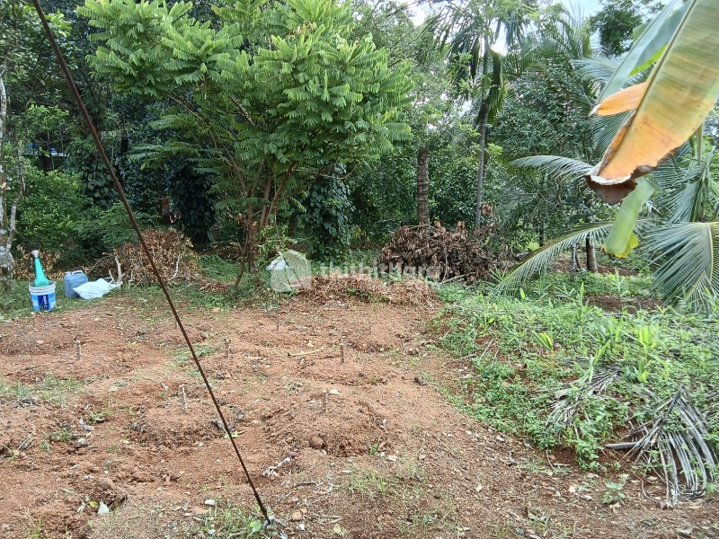 Plot for Sale in Pathanapuram Kollam
