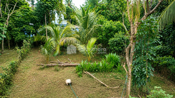  Land For Sale in  Wadakkanchery, Thrissur