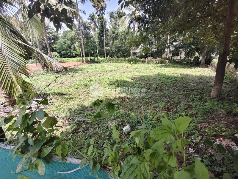 Land for Sale in mayannur Thrissur