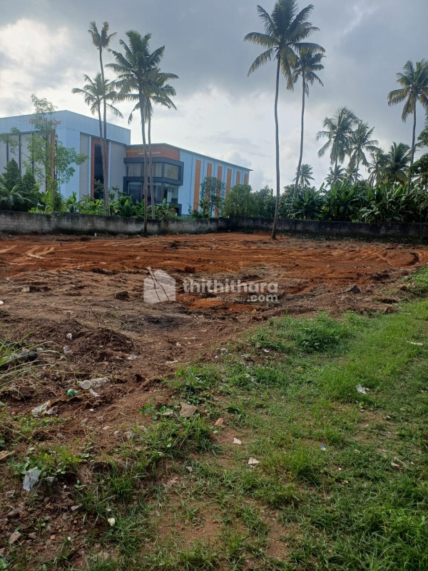 Plots for Sale in Chathannoor Kollam