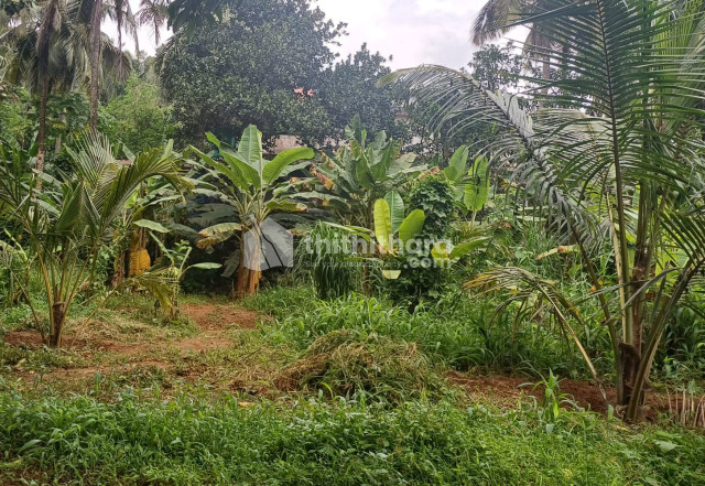 Land For Sale In Ottapalam Palakkad 