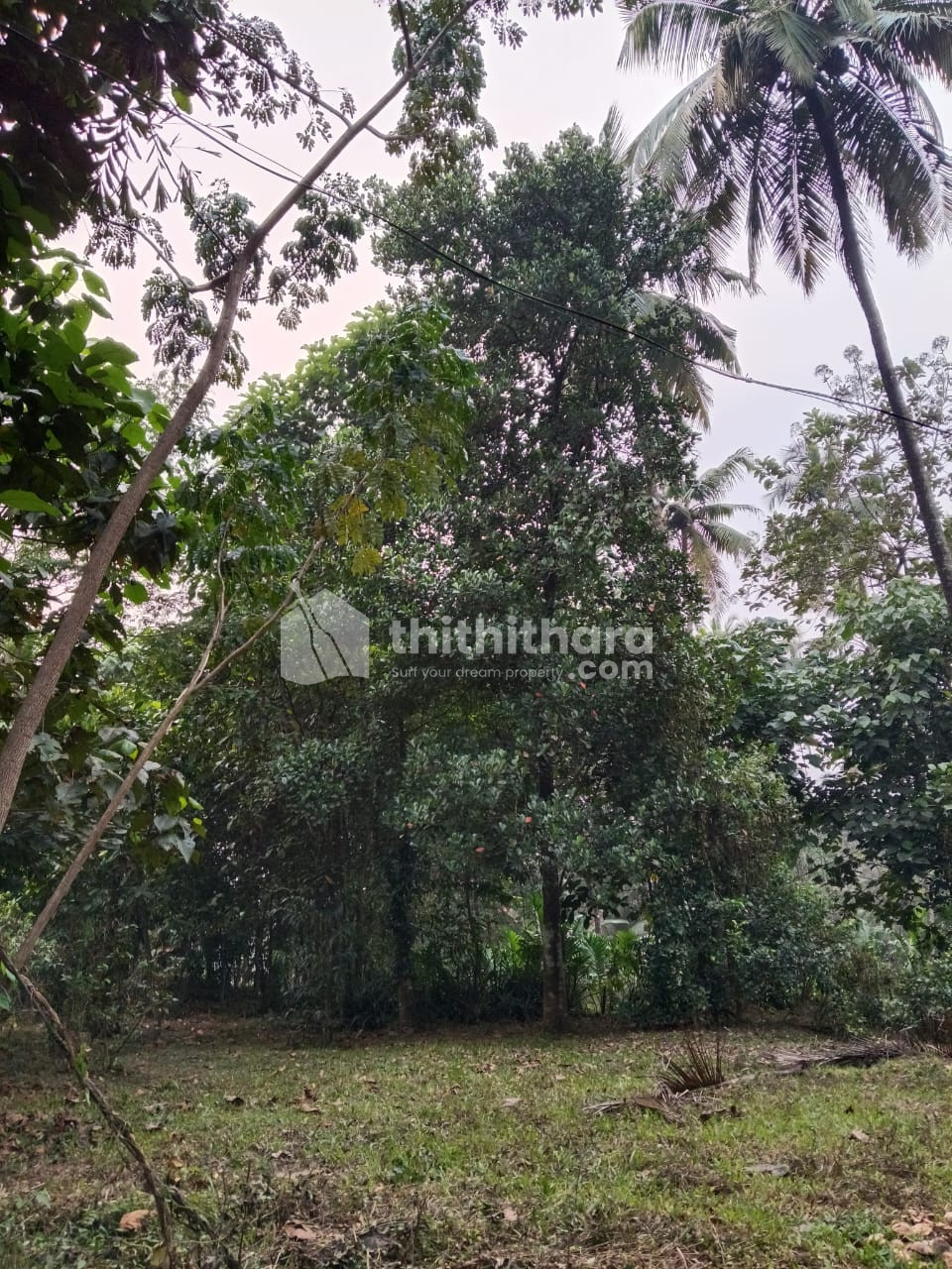 Plot For Sale in  Mannarkad, Palakkad