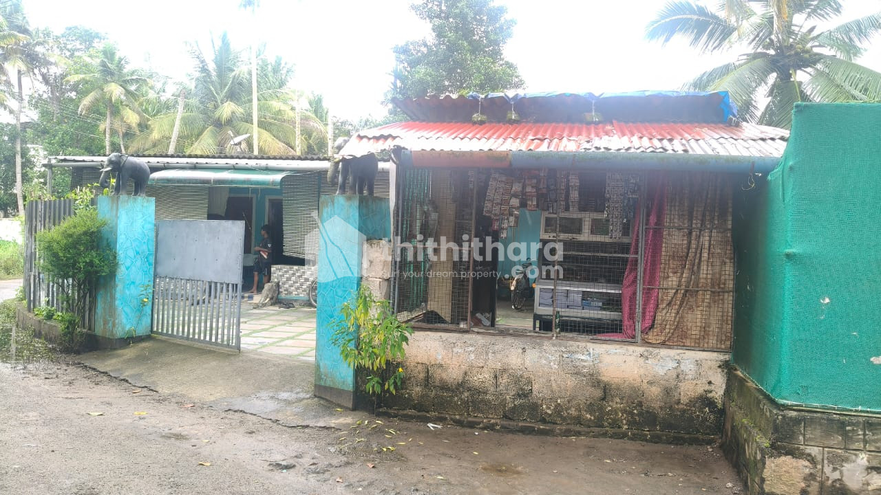 3BHK House For Sale in  Haripad, Alappuzha