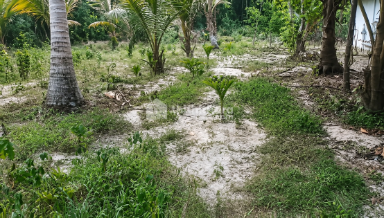 Land For Sale In Cherthala Alappuzha