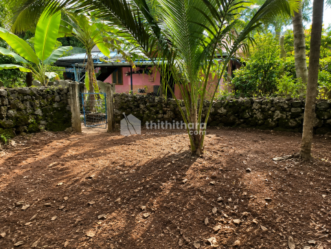 Land  For Sale in  Shornur, Palakkad