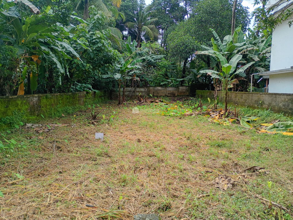  Land For Sale In Amala Nagar Thrissur 