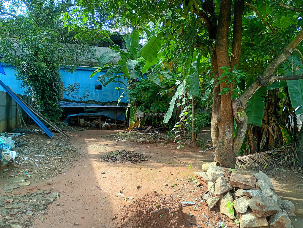 Land For Sale In Pallimoola Thrissur