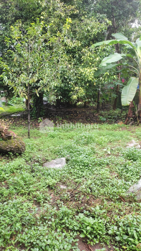 Land For Sale In Irinjalakuda Thrissur