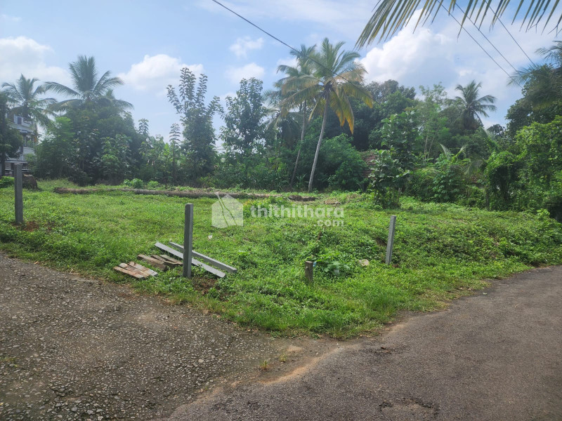 Land For Sale In Alathur Palakkad