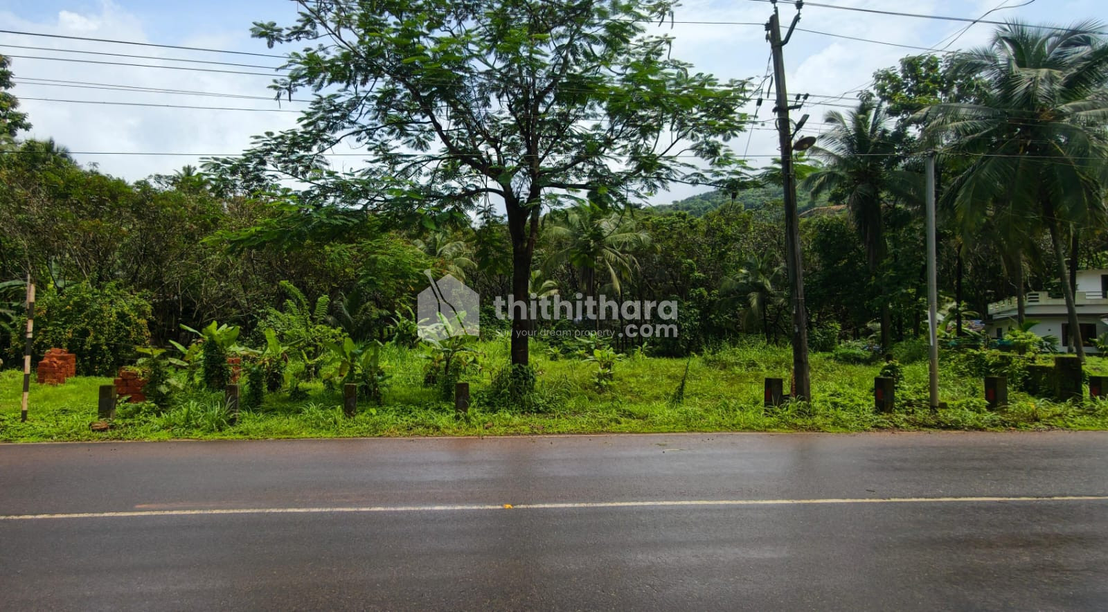 Land For Sale In Taliparamba Kannur