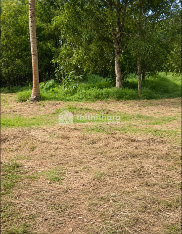 Land For Sale In Alur Thrissur