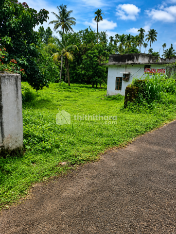 38 Cent Residential Land for Sale in Alur, Thrissur 
