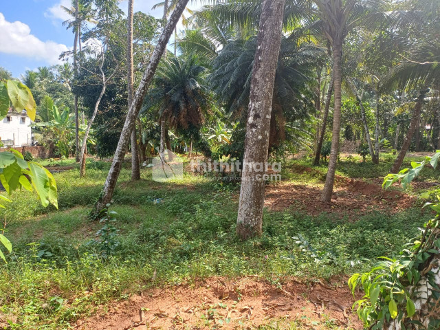 Land For Sale In Payyoli Kozhikode