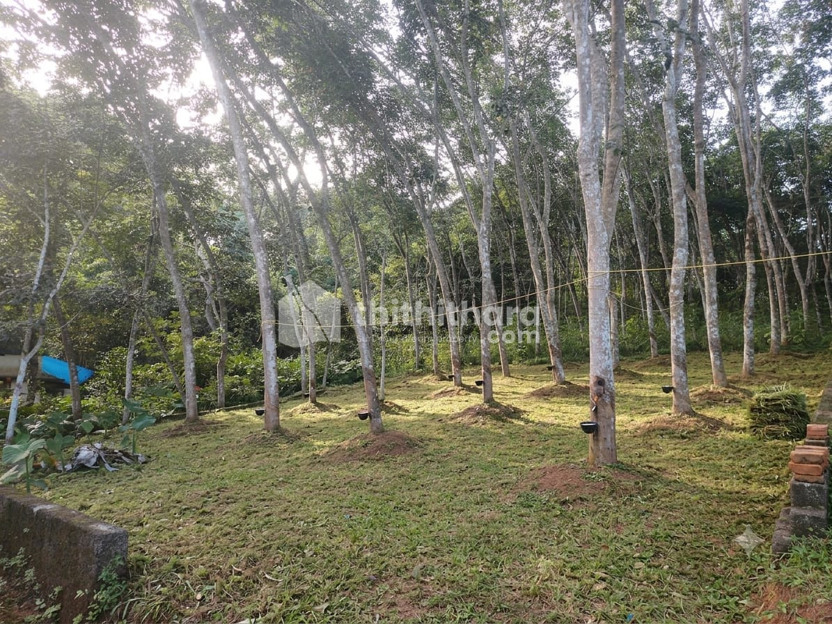 Land For Sale In Piravom Ernakulam