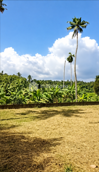 Land For Sale In Chalakudy Thrissur