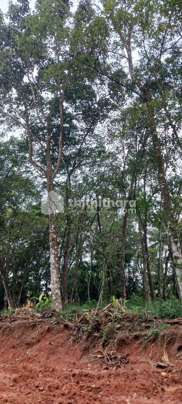 Land For Sale In Adoor Pathanamthitta
