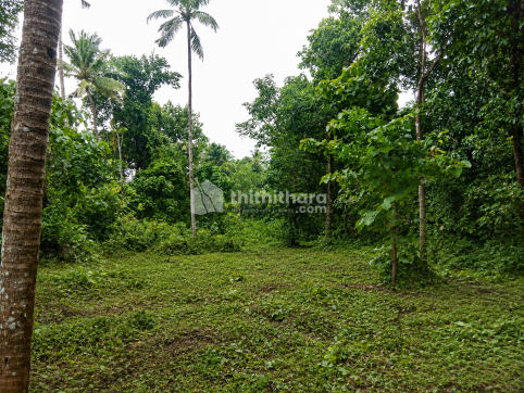 Land For Sale In Chathannoor Kollam