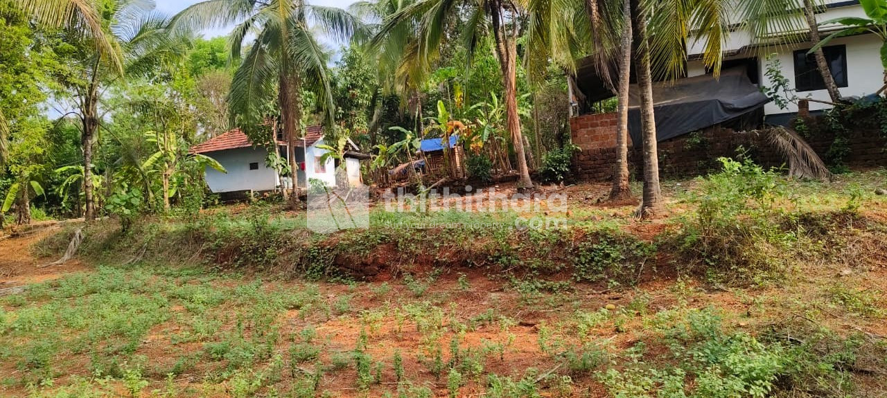 Land For Sale In Kondotty Malappuram