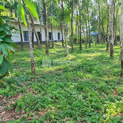 Land For Sale In Nedumangad Thiruvananthapuram