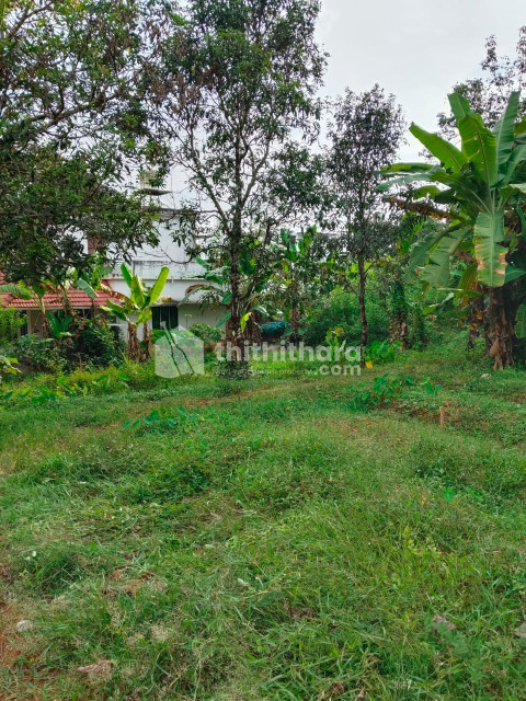 Land For Sale In Irinjalakuda Thrissur