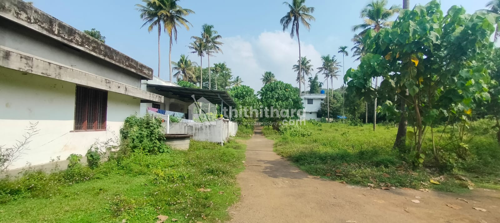 Land For Sale In kodaly Thrissur