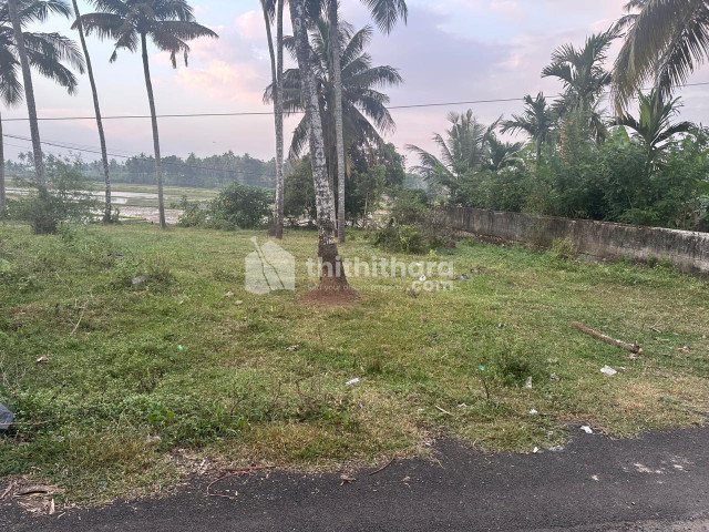 Land For Sale In Chettupuzha Thrissur