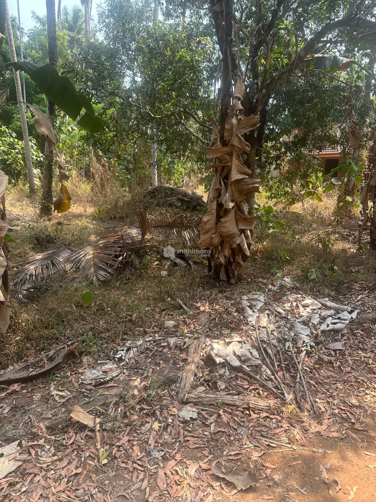  Land For sale In kolazhy Thrissur