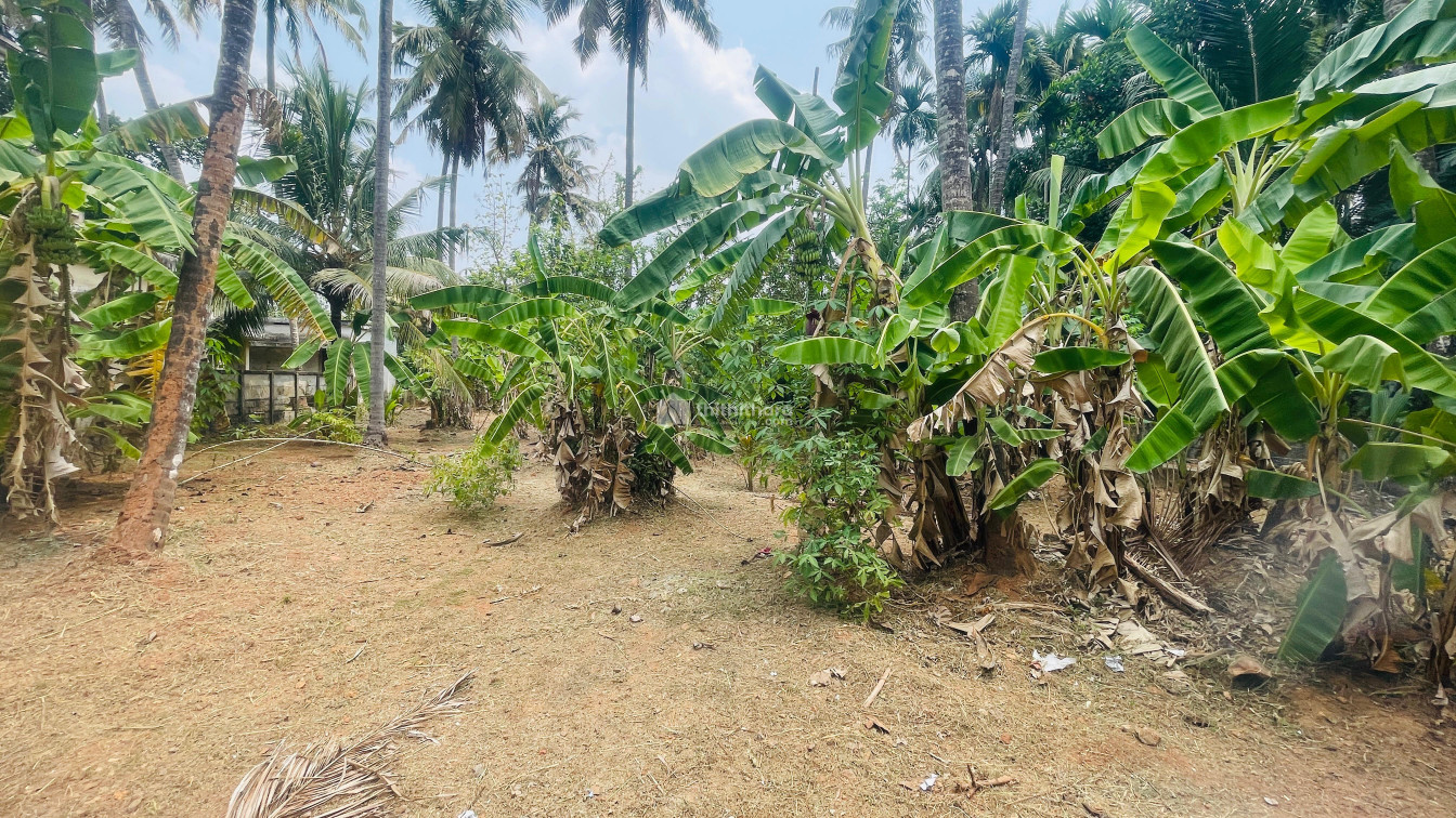 Land For Sale In Chiyyaram Thrissur