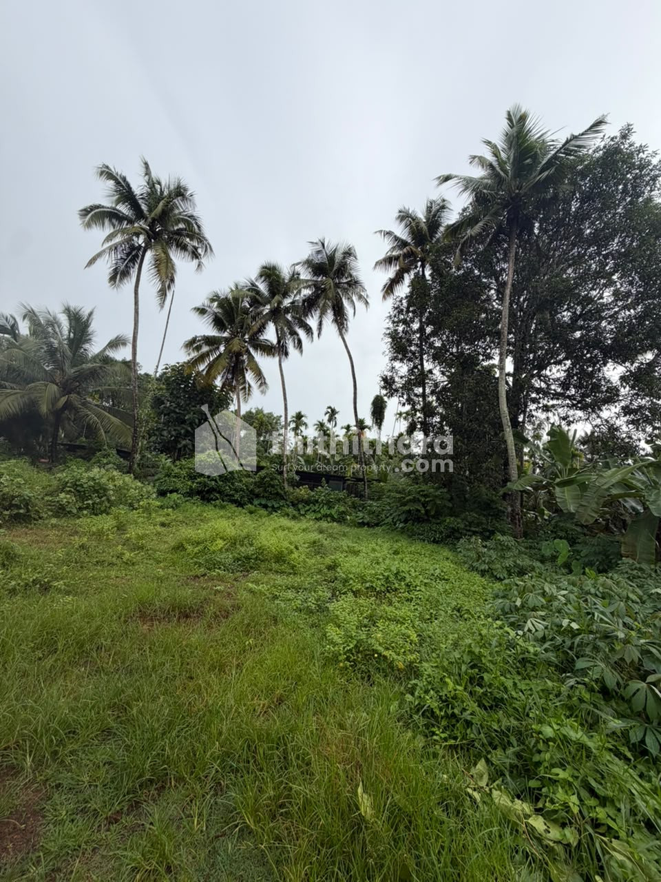 Land For Sale In Kaiparambu Thrissur