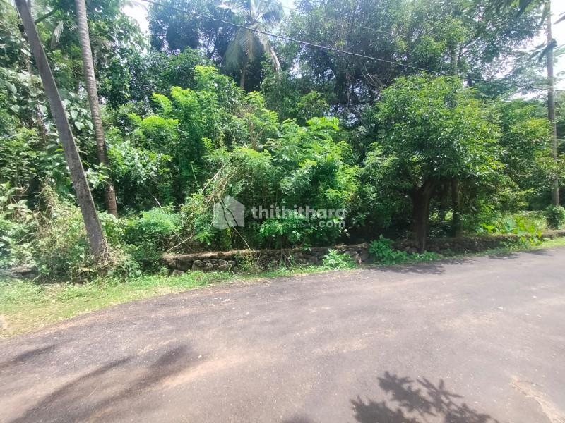  Land for sale in Paravattani Thrissur