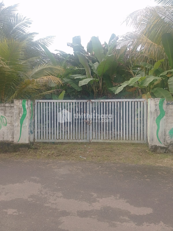  Land For Sale In Pallimoola Thrissur