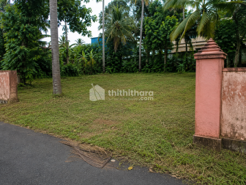  Land For Sale In Kuttanellur Thrissur