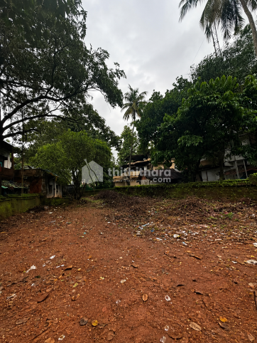 Land For Sale In Patturaikkal Thrissur