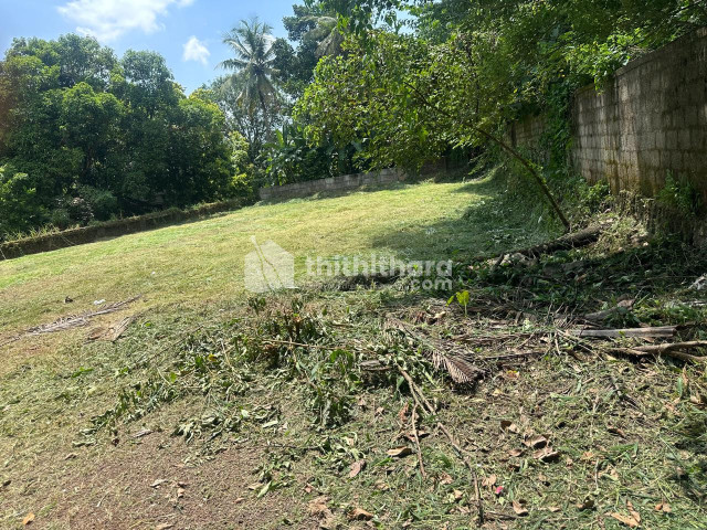Land For Sale In Gosaikkunnu Thrissur