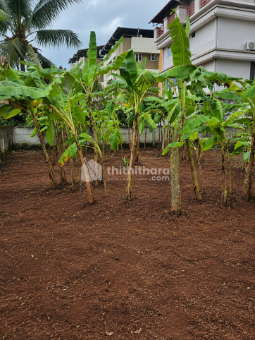 Land For Sale In Kottapuram Thrissur 
