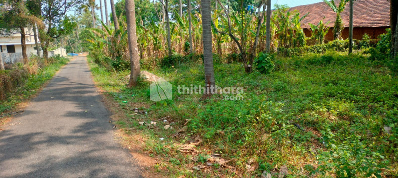  Land For Sale In padavarad Thrissur