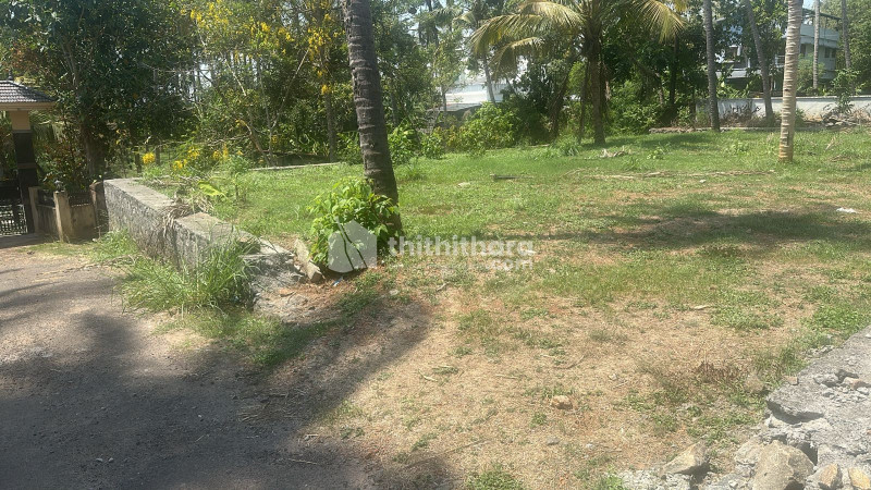 Land For Sale In Aranattukara Thrissur