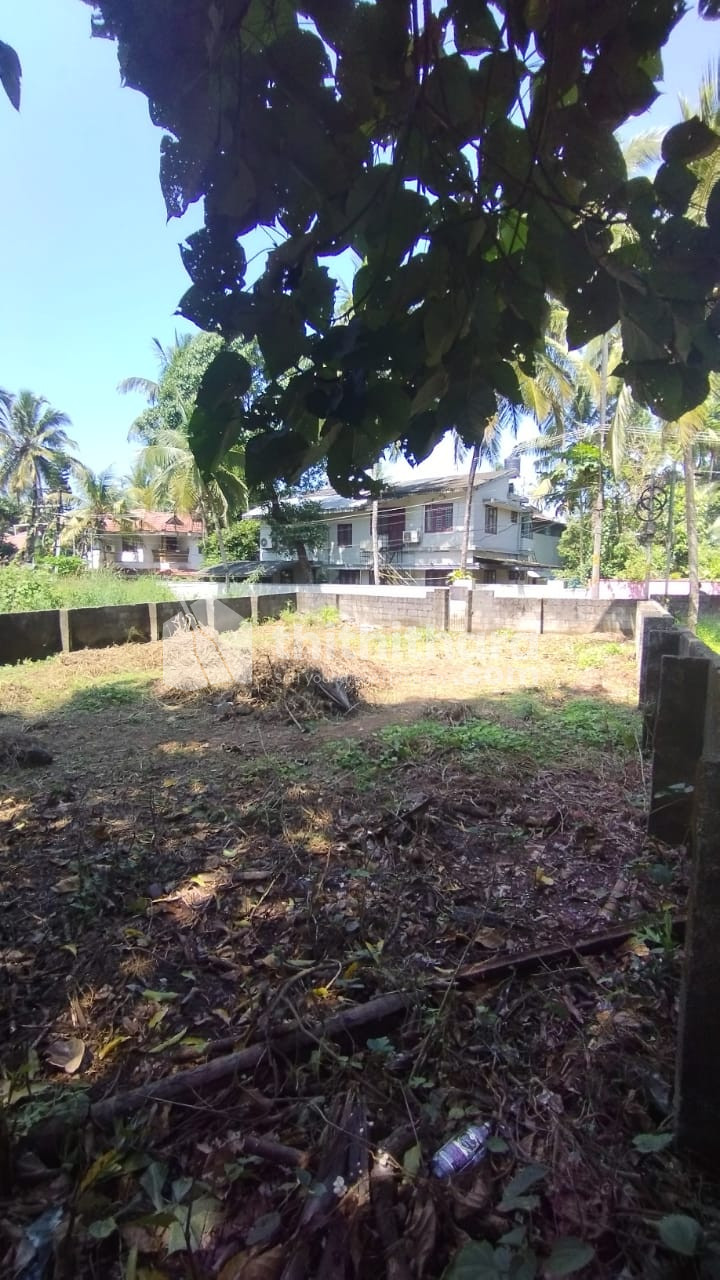 Land For Sale In Athanikkal Kozhikode 