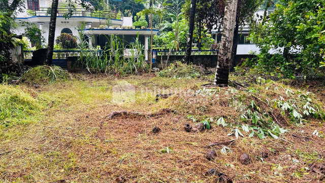 Land For Sale In Viyyur Thrissur
