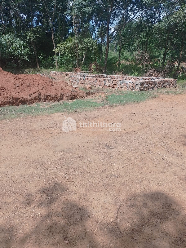  Land For Sale In Kolazhy Thrissur