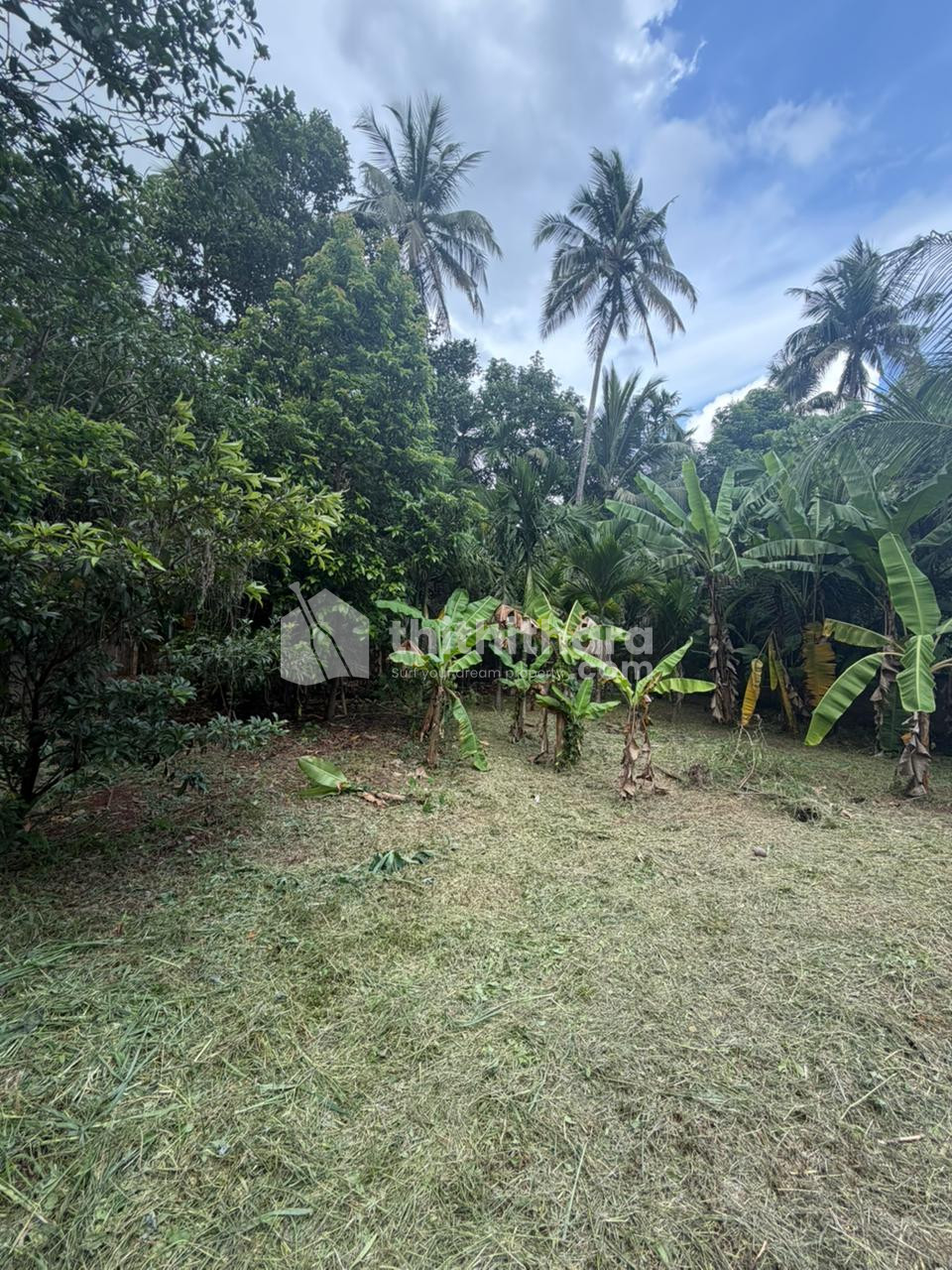  Land For Sale In Naithalakkavu Thrissur