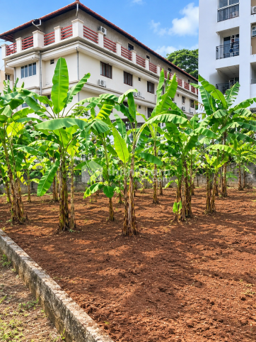 Land For Sale In Kottapuram Thrissur