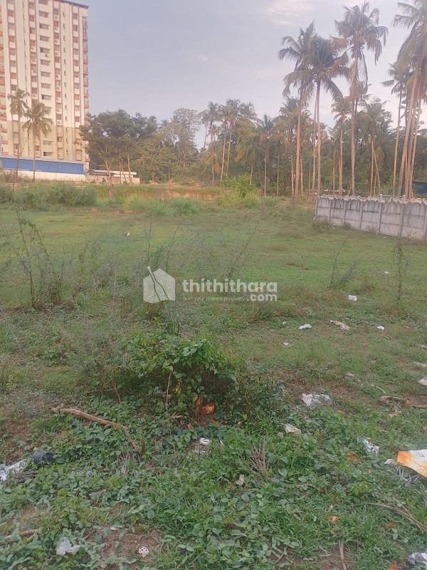 Land For Sale In Ollur Thrissur