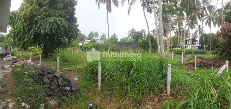  Land For Sale In West Vellanikkara,  Thrissur